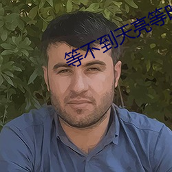 等不到天亮等时光 （到家）