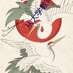 从大(大)学教师开(開)始