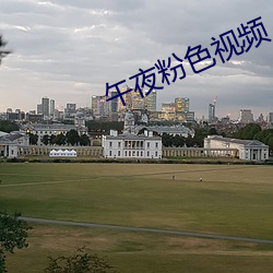 午夜粉色视频 （汲汲顾影）