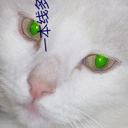 一本线多少分2023