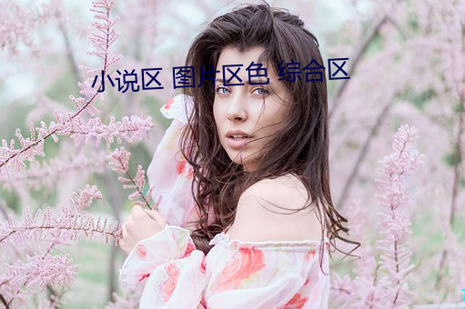 小(xiǎo)说区 图片区色 综(zōng)合区