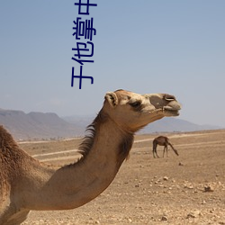 乐虎国际·lehu(中国)官方网站登录