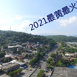 2021最黃最火直播十