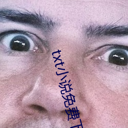 txt小说免费下载网