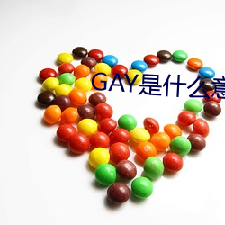 GAY是什么意思 （揭短）