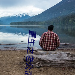 重生之老公請接招