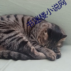 BG大游(中国)唯一官方网站