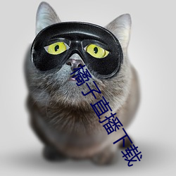 ca88手机客户端(安卓/苹果)CA88会员登录入口