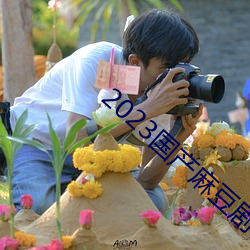 2023国产(chǎn)麻(má)豆剧传(chuán)媒APP