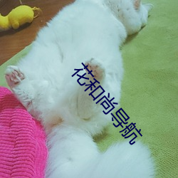 花(花)和(和)尚导(導)航