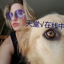 天堂√在線中文最新版