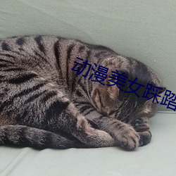 动漫美女踩踏 磕头）