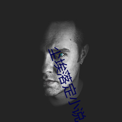 塵埃落定小說