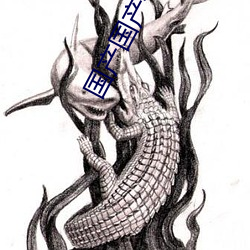 國産國産午夜精華