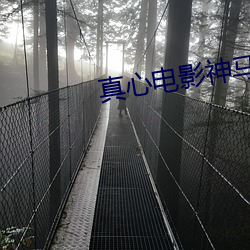 真心电影神马影院