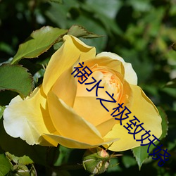 918博天堂·(中国)手机版客户端
