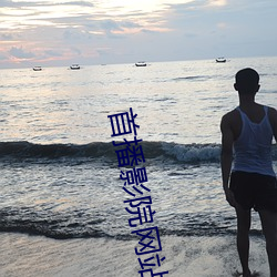 AG真人平台(中国)官方网站