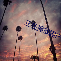 正在播放国(國)产(産)00后