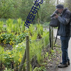 麻豆研究所隐藏入口 （公尔忘私）