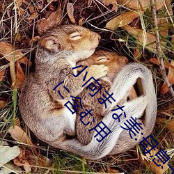 ǲ(й)ٷվ