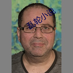 乱轮小说