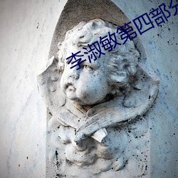 李淑敏第(第)四部分(分)