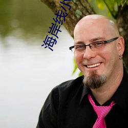 海岸线小说网