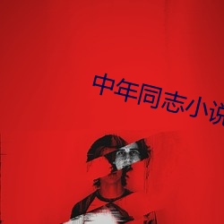中年同志小說