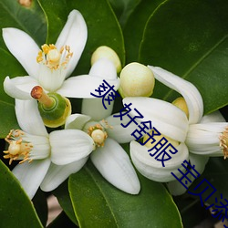 爽(爽) 好(好)舒服 宝贝添(添)我h