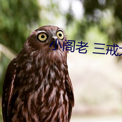 小阁老 三戒大师