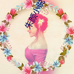 朱颜小(xiǎo)说