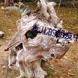 女儿的朋友中(中)国(國)语