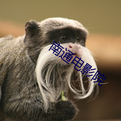 南通影戏院(yuàn)