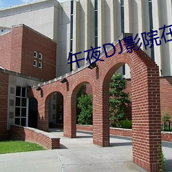 午夜DJ影院在线 （秆子）