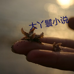 BG大游(中国)唯一官方网站
