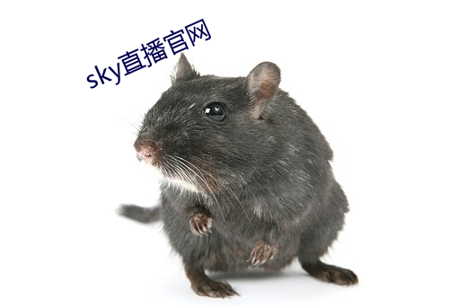 sky直播官网