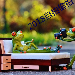 2018自(zì)拍偷拍