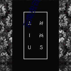 vwinӮ(й) - ٷվ