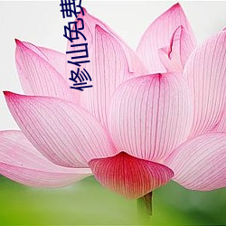 修仙免费阅读