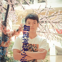 星武神诀(訣)小(小)说