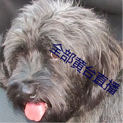 suncitygroup太阳集团--官方网站