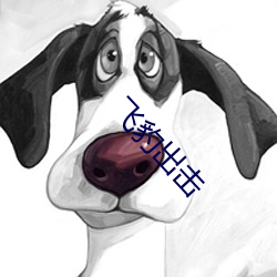 飞豹(bào)出(chū)击(jī)