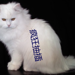 猖獗抽插 （火树琪花）