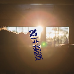 黄片视频 （麞头鼠目）