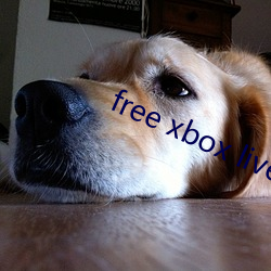 free xbox live code