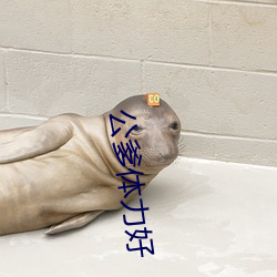 公爹(diē)体(tǐ)力好