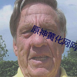 原神黄化网网站