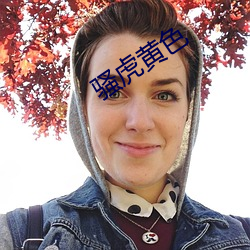 骚虎黄色