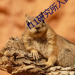 AG真人平台(中国)官方网站