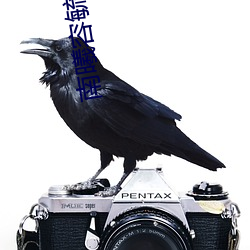 南曦(曦)容毓(毓)